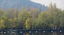 World Environment Day