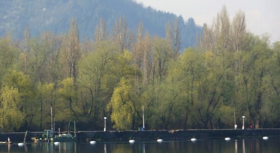 World Environment Day