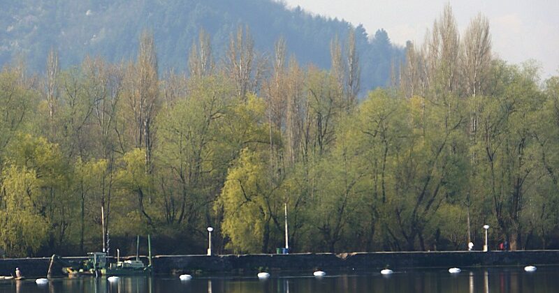 World Environment Day