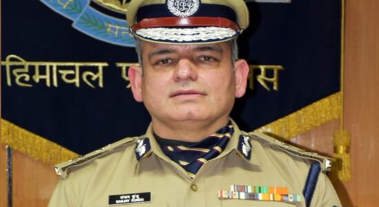 वन्यजीव अपराधों 