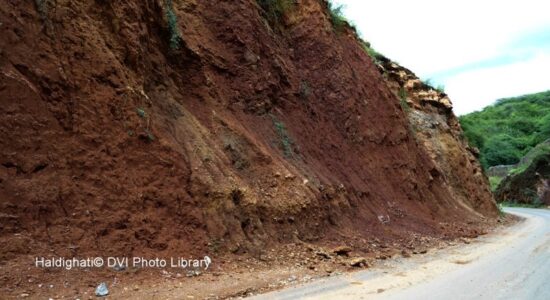 हल्दीघाटी