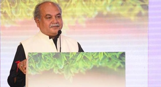 मोटे अनाज