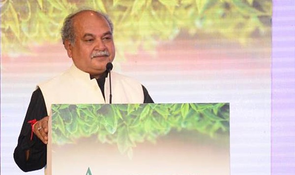 मोटे अनाज