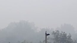 भीषण शीत लहर