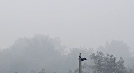 भीषण शीत लहर