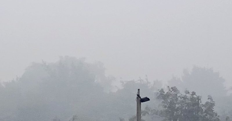 भीषण शीत लहर