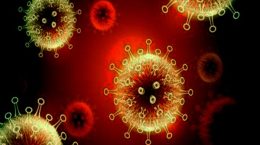 Number of active cases of corona 4866, two deaths in Delhi