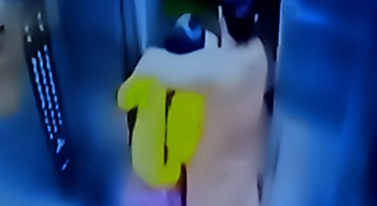 टीवी चैनलों