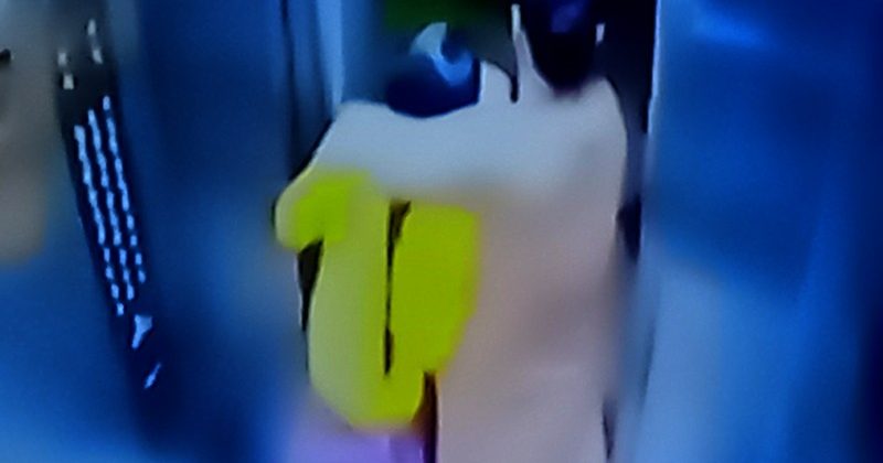 टीवी चैनलों