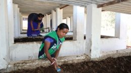 स्व सहायता समूह