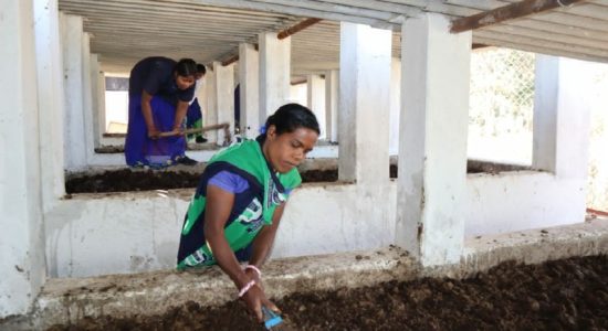 स्व सहायता समूह