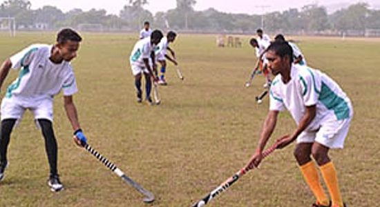 स्पोर्ट्स यूनिवर्सिटी