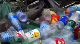 सिंगल यूज प्लास्टिक