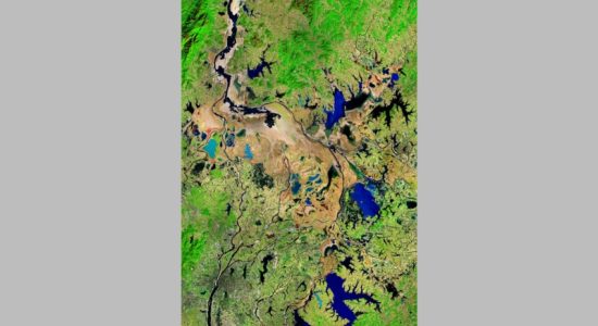 पोयांग झील