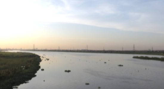 जल स्रोतों की गणना, जल शक्ति मंत्रालय ने देश भर में पहली बार की है।