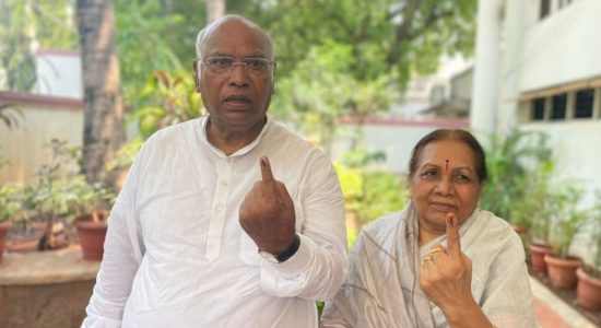 कर्नाटक विधानसभा चुनाव