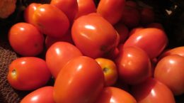 Consumers will get tomatoes at subsidized prices