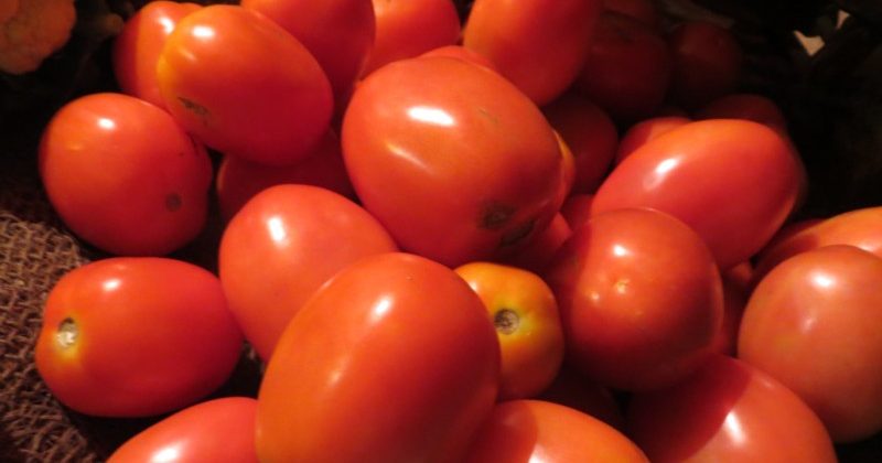Consumers will get tomatoes at subsidized prices
