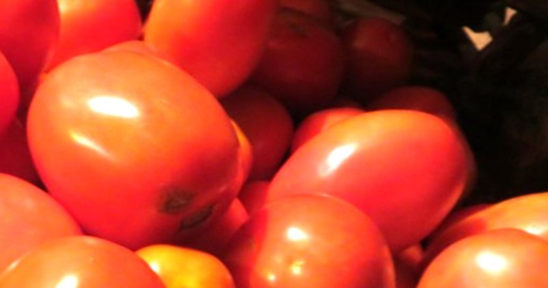 Government is selling tomatoes at the rate of Rs 90 per kg