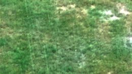 हिमाचल, उत्तराखंड, मध्य प्रदेश, ओडिशा में भारी बारिश