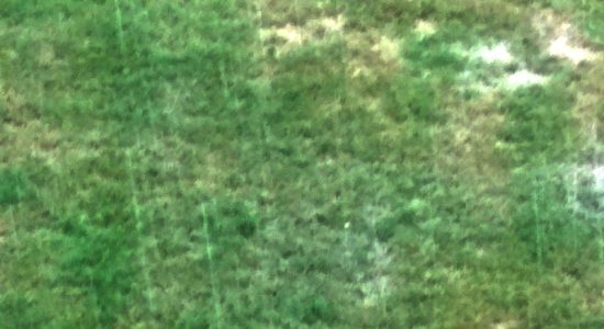 हिमाचल, उत्तराखंड, मध्य प्रदेश, ओडिशा में भारी बारिश