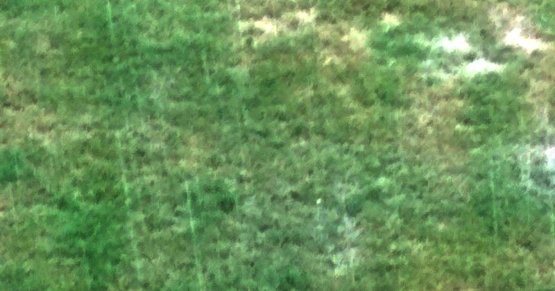 हिमाचल, उत्तराखंड, मध्य प्रदेश, ओडिशा में भारी बारिश