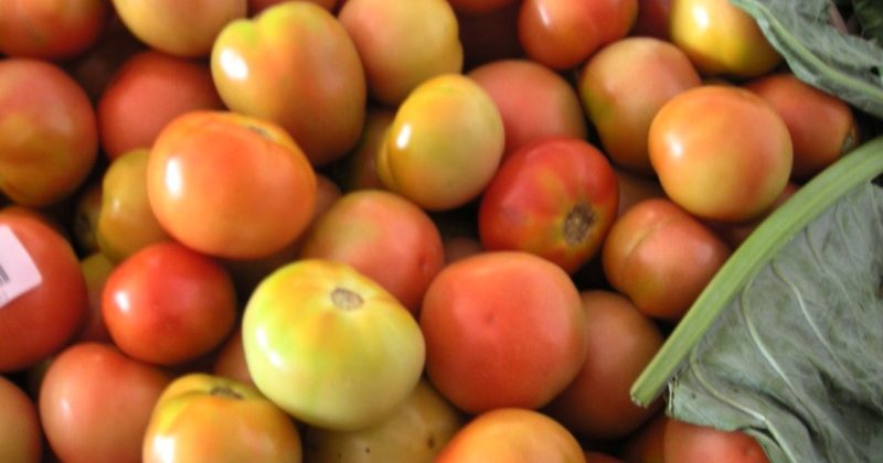 Tomato wholesale prices reduced, sold at Rs 80 a kg from Sunday