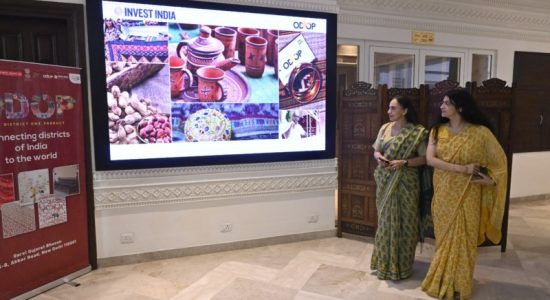 Gujarat endeavors to promote One District One Product initiative