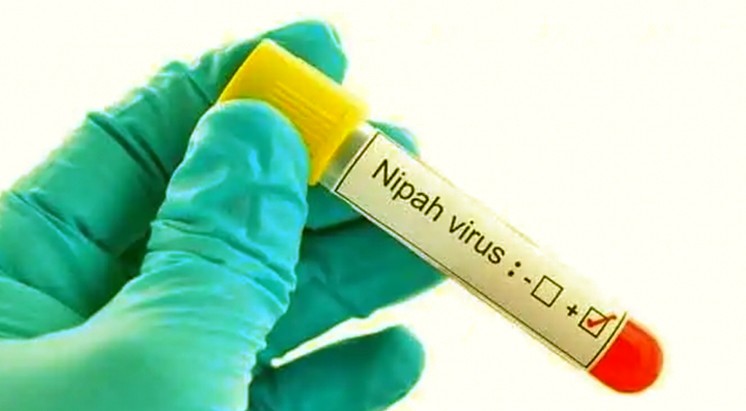 No new case of Nipah has been reported