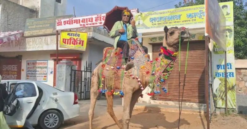 Reached the polling station riding a camel and cast his vote.