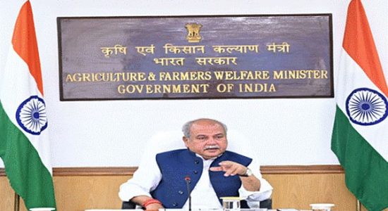 Climate change meeting to be held in Dubai from 30 November to 12 December