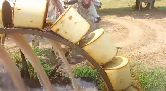 Water shortage for farmers in Punjab, a bitter truth