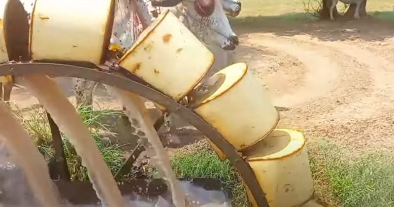 Water shortage for farmers in Punjab, a bitter truth