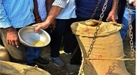 Free food grains to feed 81.35 crore people of the country