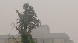 Air quality in Delhi in 2023 will be the best in 6 years