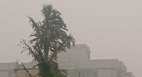 Air quality in Delhi in 2023 will be the best in 6 years