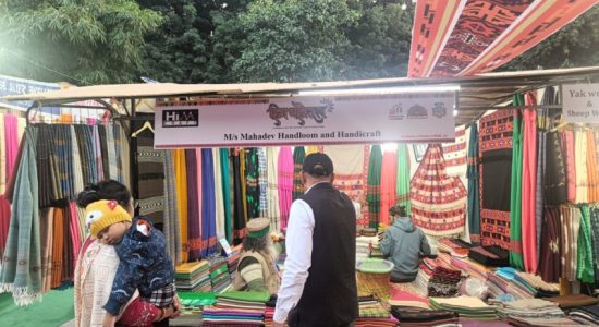 Huge demand for Himcraft products and Himachali cuisine in Dilli Haat