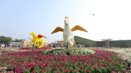 More than 15 lakh flowers and plants in 'Ahmedabad Flower Show 2024'