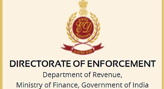 Search of companies owned by Chinese citizens