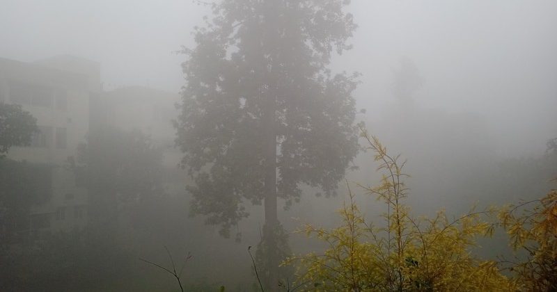 Severe cold wave will continue in Punjab, Haryana, Uttar Pradesh and Rajasthan.