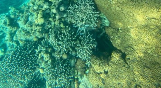 Prime Minister Narendra Modi among the people of Lakshadweep