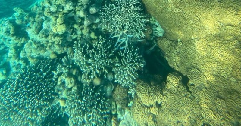 Prime Minister Narendra Modi among the people of Lakshadweep