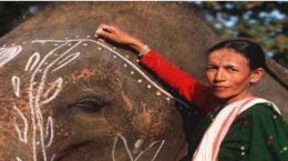 34 dignitaries including country's first woman mahout among Padma awards