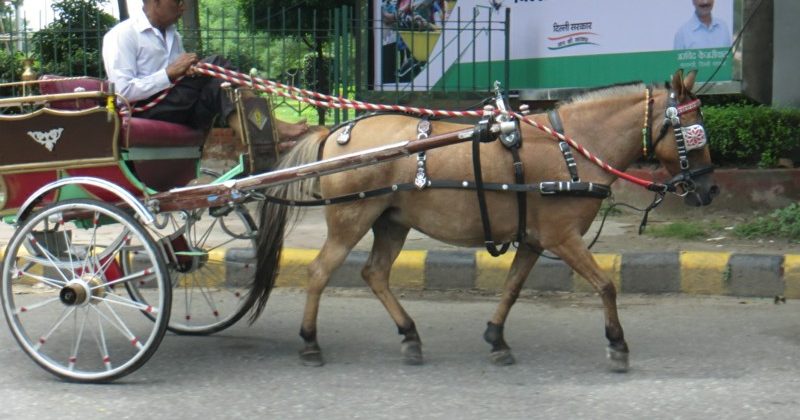 Government in 'mission mode' to improve Delhi's roads