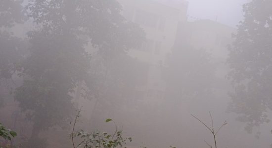 Minimum temperature in North India between 6-10 degree Celsius