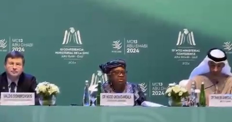 WTO announces new rules for international services trade