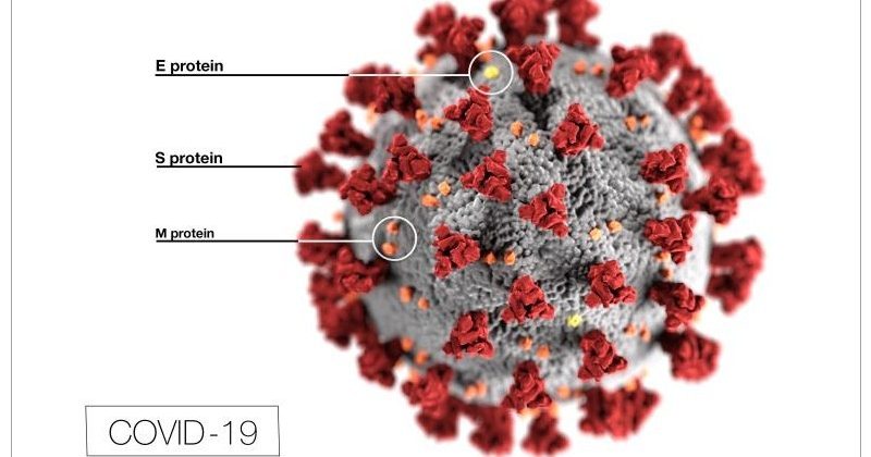 Link of Covid vaccines to neurological, blood and heart related diseases
