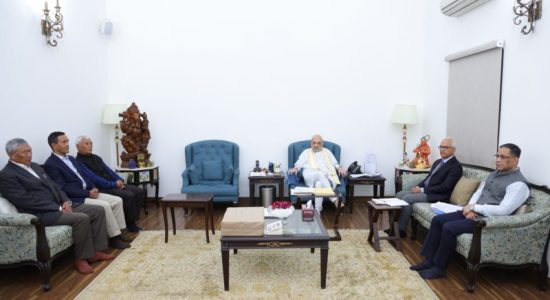 Government committed to provide necessary constitutional safeguards to Ladakh