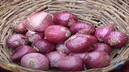 Permission to export onion from India to Bangladesh and UAE