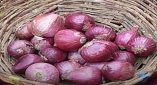 Permission to export onion from India to Bangladesh and UAE